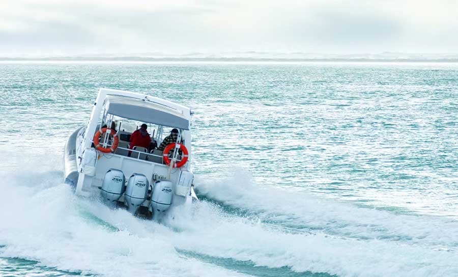 Limestone coast boat tours
